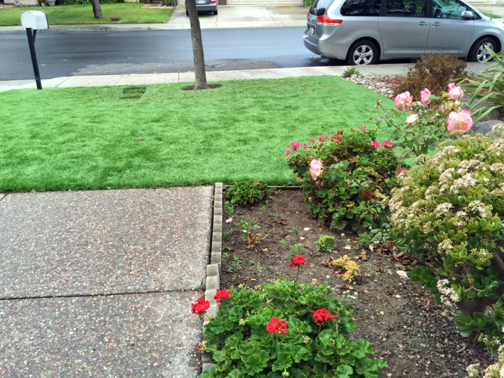 Grass Installation Lakewood Park, Florida Indoor Dog Park, Front Yard Ideas