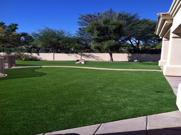 Grass Turf Belle Glade, Florida Backyard Deck Ideas, Front Yard Landscaping