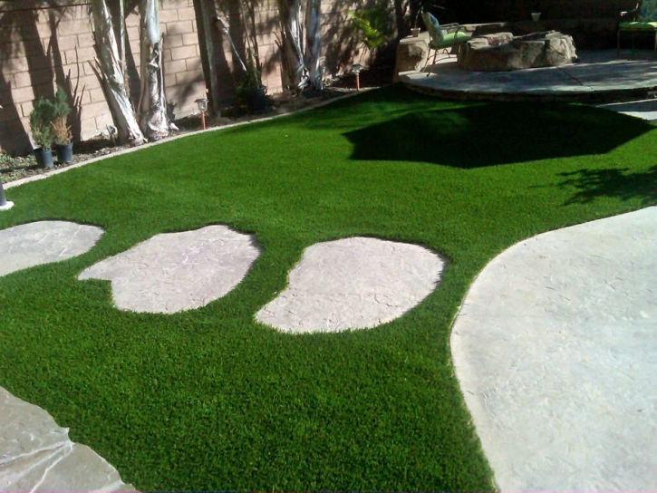 Grass Turf Clermont, Florida Design Ideas, Backyard Landscaping Ideas