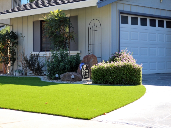 Grass Turf Lake City, Florida Lawn And Landscape, Small Front Yard Landscaping