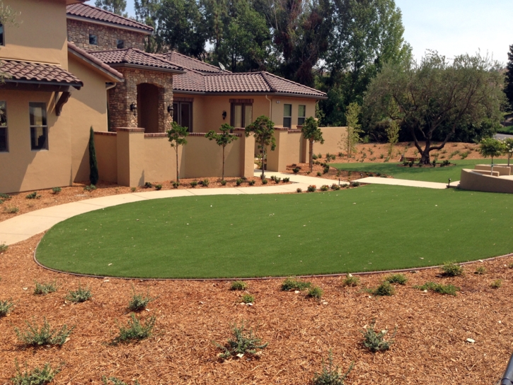 Grass Turf Marco, Florida Landscape Ideas, Front Yard Landscaping Ideas