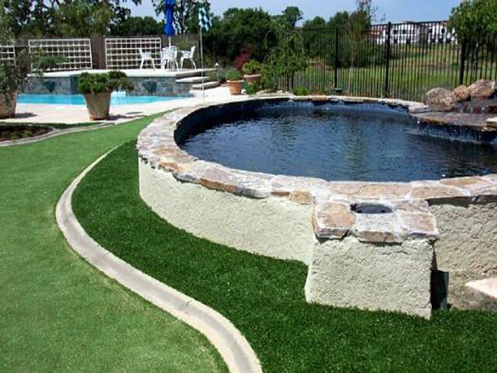 Grass Turf North Miami Beach, Florida Home And Garden, Backyard Design