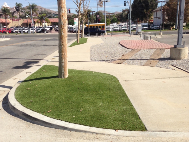 Grass Turf Ruskin, Florida Landscaping Business, Commercial Landscape