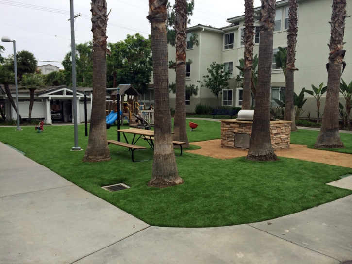 Grass Turf Saint Petersburg, Florida Roof Top, Commercial Landscape