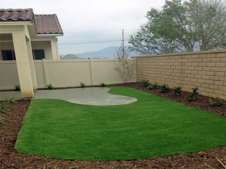 Green Lawn Deltona, Florida Lawn And Landscape, Beautiful Backyards