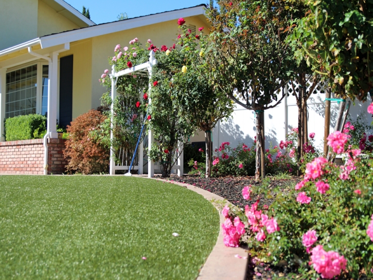 Green Lawn Saint Augustine Shores, Florida Landscape Design, Front Yard