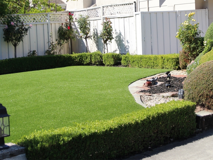 Green Lawn Springfield, Florida Landscape Ideas, Backyards