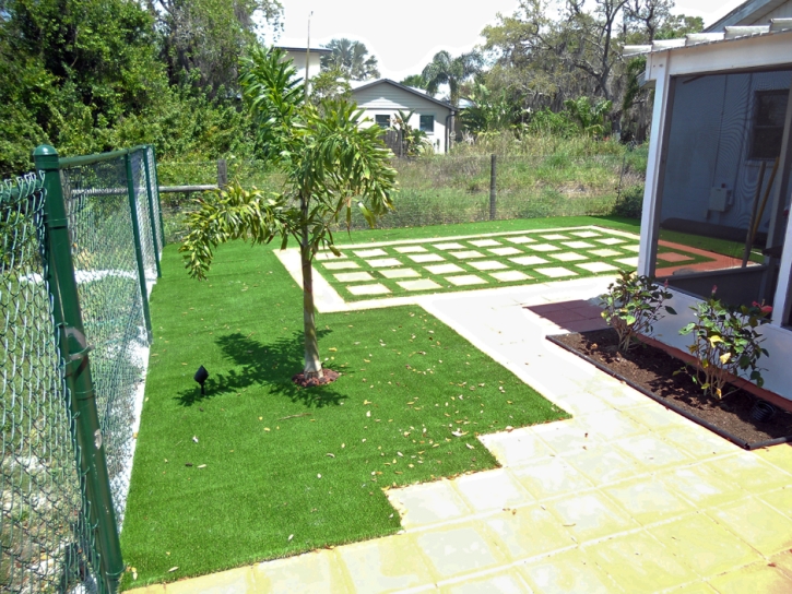 Green Lawn Valrico, Florida Garden Ideas, Small Backyard Ideas