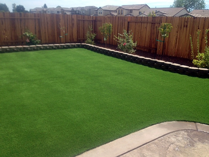 Green Lawn Winter Haven, Florida Lawn And Landscape, Backyard Garden Ideas