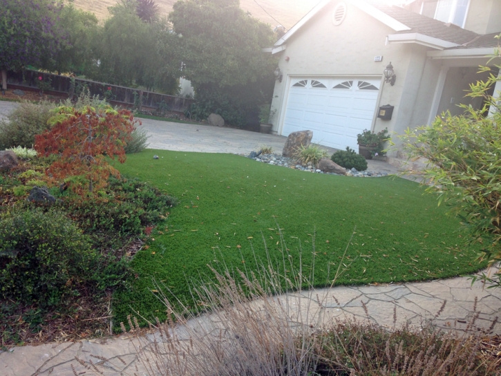 How To Install Artificial Grass Egypt Lake-Leto, Florida Lawn And Landscape, Front Yard Ideas