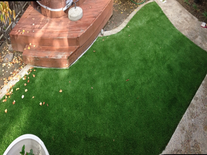 How To Install Artificial Grass Mascotte, Florida Landscaping Business, Backyard Designs