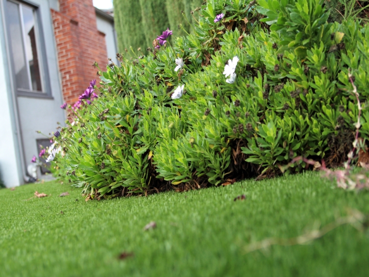 How To Install Artificial Grass West Vero Corridor, Florida Gardeners, Front Yard Landscaping