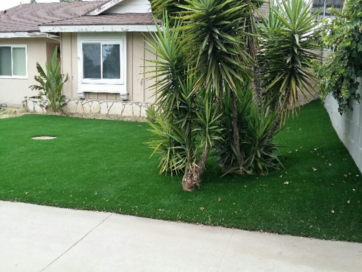 Installing Artificial Grass Key Largo, Florida Home And Garden, Front Yard