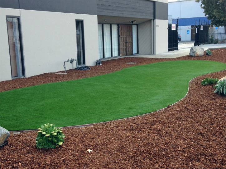 Installing Artificial Grass Palm Harbor, Florida Landscape Ideas, Commercial Landscape