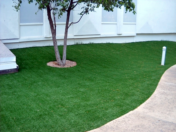 Lawn Services Boyette, Florida City Landscape, Commercial Landscape