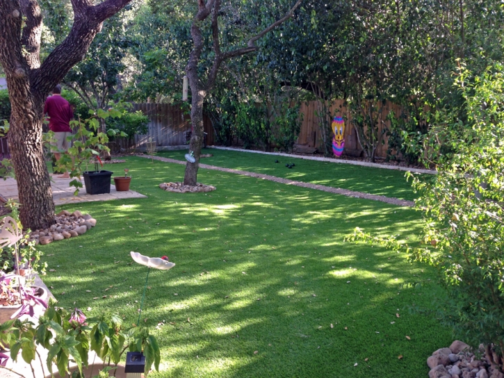 Lawn Services Fort Lauderdale, Florida Lawn And Landscape, Backyard Garden Ideas