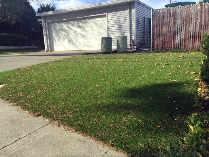 Lawn Services Lady Lake, Florida Gardeners, Small Front Yard Landscaping