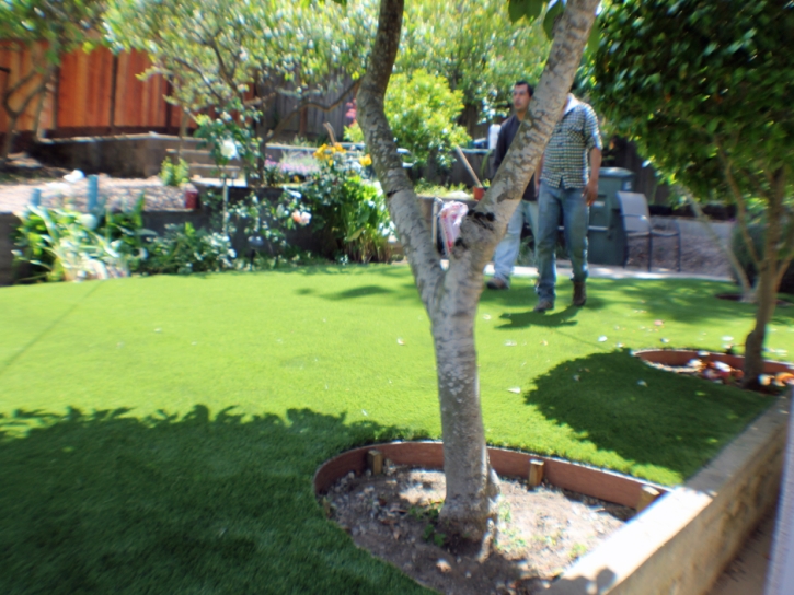 Lawn Services Pompano Beach, Florida Lawn And Landscape, Backyard Design