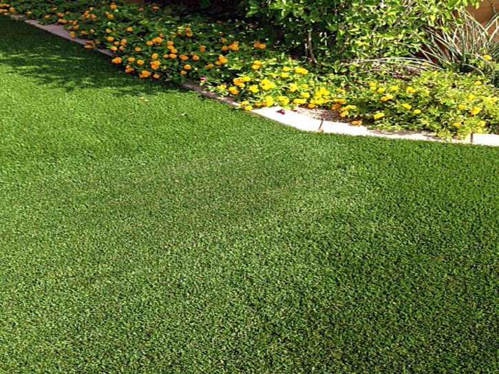 Lawn Services Valrico, Florida Landscaping, Small Front Yard Landscaping