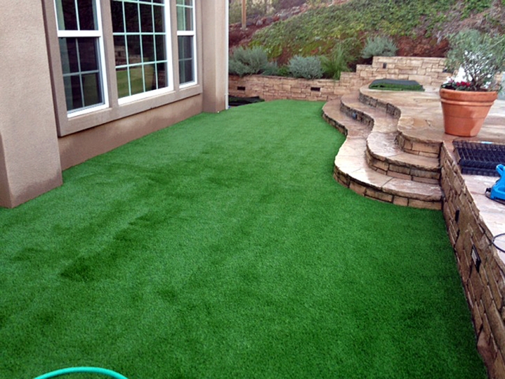 Outdoor Carpet Lake Worth, Florida Lawn And Garden, Backyard Design