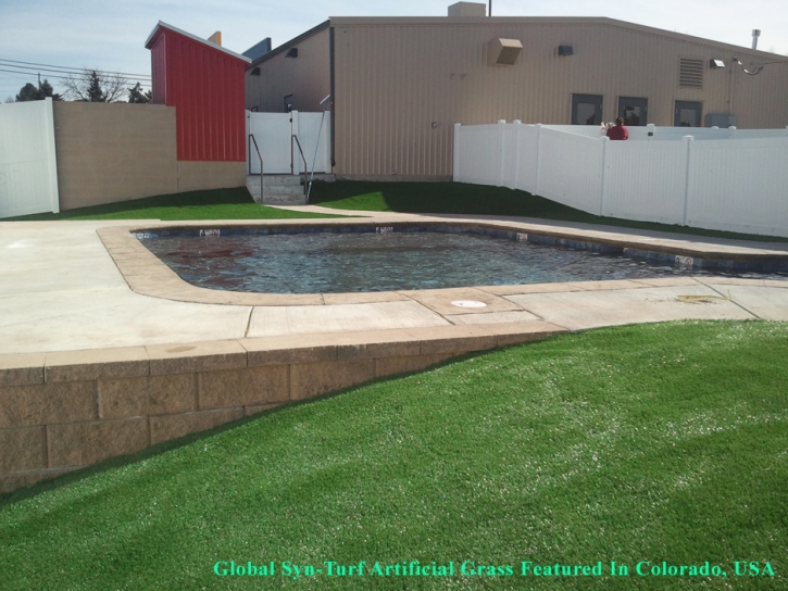 Outdoor Carpet North Fort Myers, Florida Gardeners, Above Ground Swimming Pool