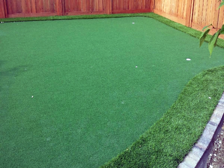 Outdoor Carpet Pahokee, Florida Artificial Putting Greens, Backyard Designs