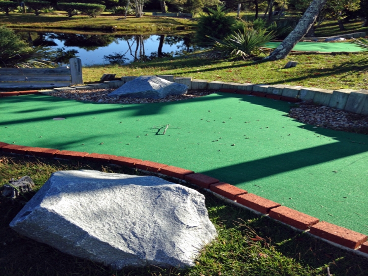 Outdoor Carpet Pebble Creek, Florida Putting Green, Backyard Landscape Ideas