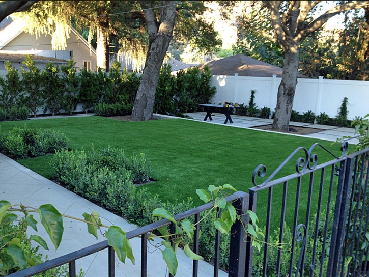 Outdoor Carpet Sebastian, Florida Garden Ideas, Front Yard Landscaping