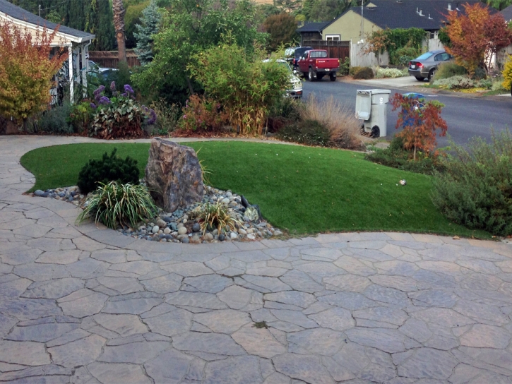 Outdoor Carpet Winston, Florida Roof Top, Front Yard Design