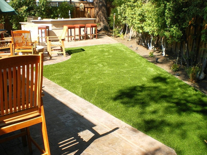 Outdoor Carpet Zephyrhills South, Florida Landscape Ideas, Backyard Design