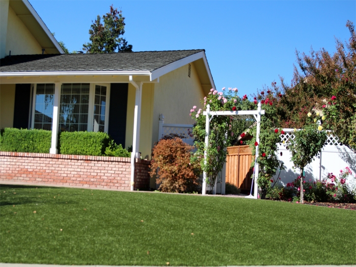 Plastic Grass Florida City, Florida Landscaping, Front Yard Ideas