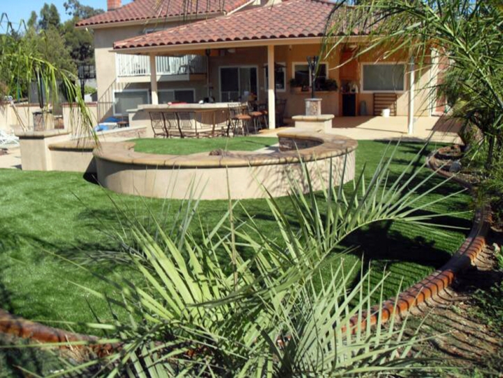 Plastic Grass Inverness, Florida Roof Top, Backyard Design