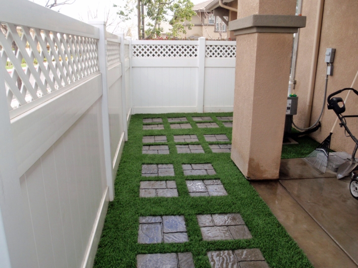 Plastic Grass Inverness Highlands South, Florida Garden Ideas, Backyard Garden Ideas