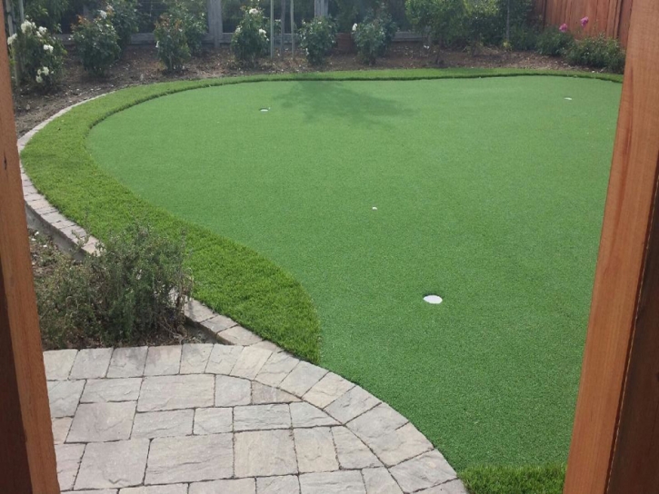 Plastic Grass San Carlos Park, Florida How To Build A Putting Green, Backyard Landscape Ideas