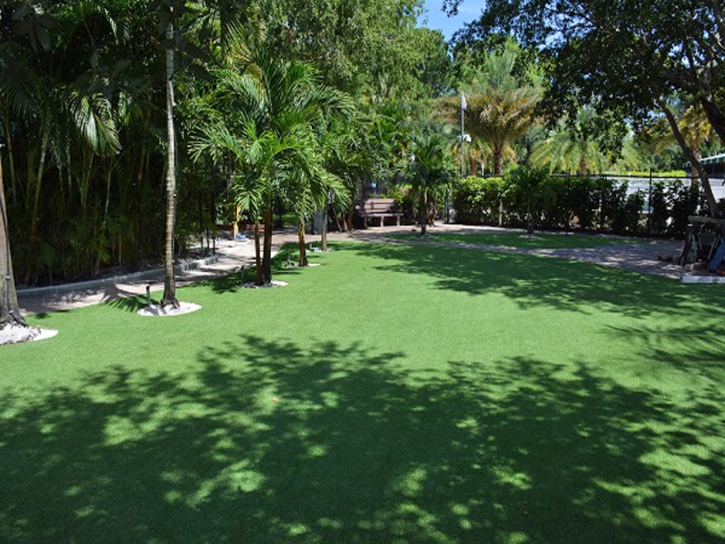 Plastic Grass Tarpon Springs, Florida Landscape Design, Commercial Landscape