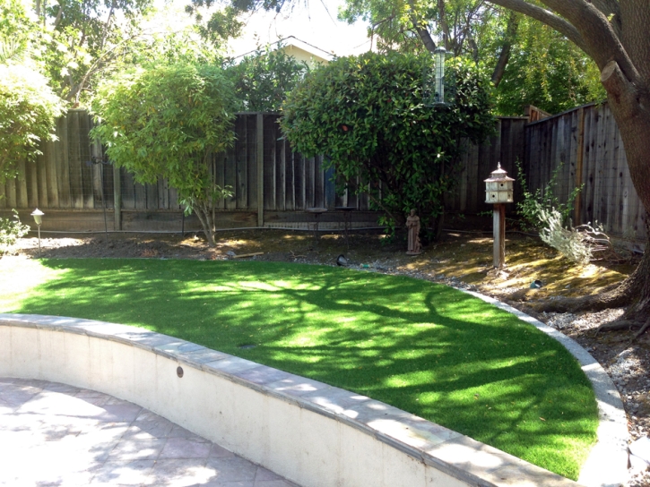 Plastic Grass Wimauma, Florida Landscape Ideas, Commercial Landscape