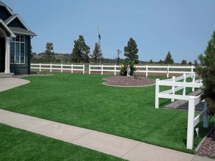 Synthetic Grass Cost Broadview Park, Florida Backyard Deck Ideas, Front Yard Ideas