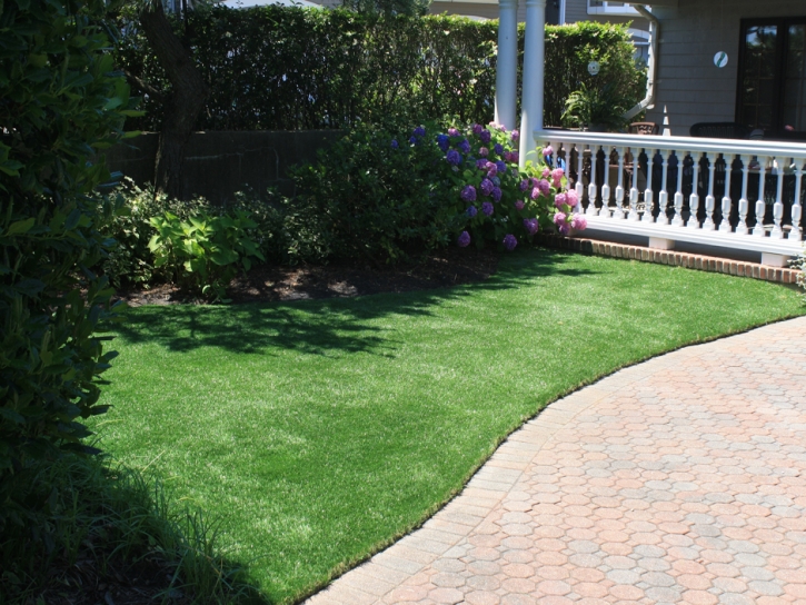 Synthetic Grass Cost Fort Meade, Florida Landscape Photos, Landscaping Ideas For Front Yard