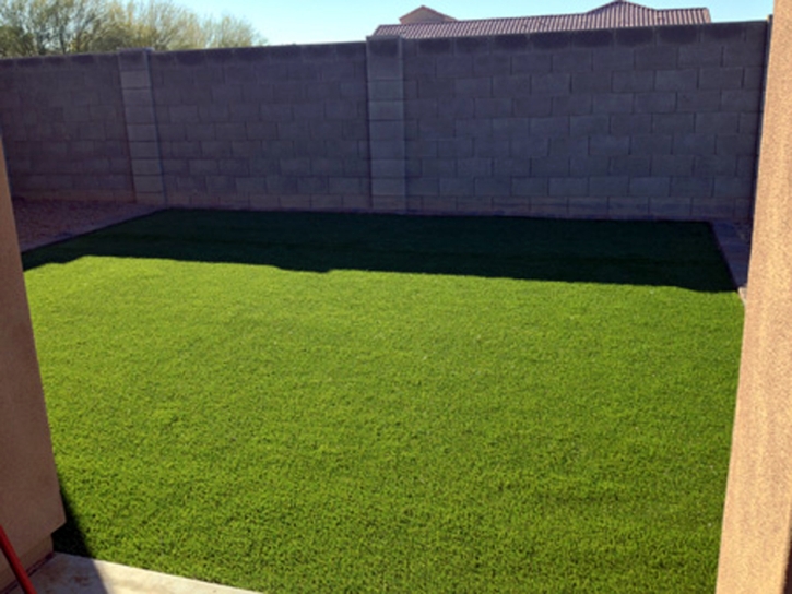 Synthetic Grass Cost Melbourne, Florida Lawns, Backyard Designs