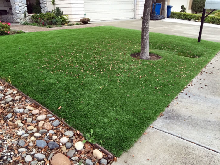 Synthetic Grass Cost Orlando, Florida Home And Garden, Front Yard Landscape Ideas