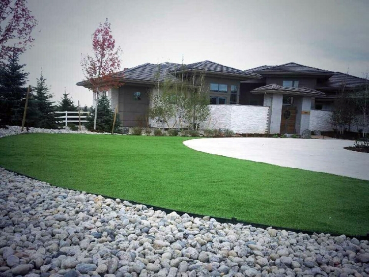 Synthetic Grass Fern Park, Florida Roof Top, Front Yard Landscape Ideas