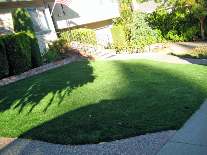 Synthetic Grass Fruitville, Florida Landscaping, Front Yard Landscaping