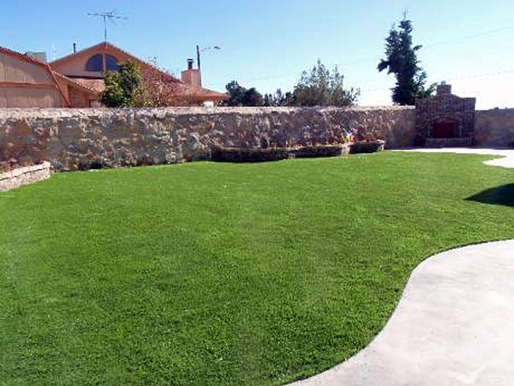 Synthetic Grass Groveland, Florida Lawns, Beautiful Backyards