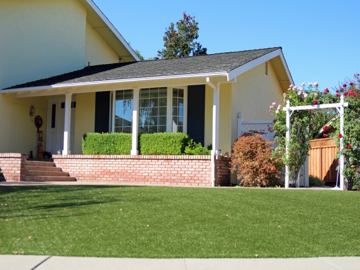 Synthetic Grass Hernando, Florida Design Ideas, Small Front Yard Landscaping