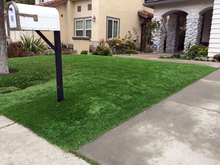 Synthetic Grass Lake Butler, Florida Garden Ideas, Front Yard Ideas