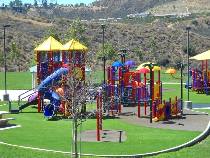 Synthetic Grass Leesburg, Florida Indoor Playground, Parks