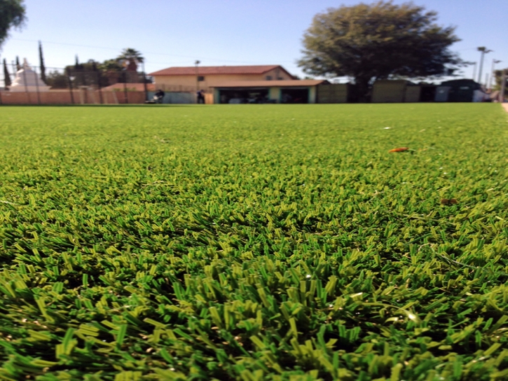 Synthetic Grass Naples Manor, Florida Red Turf