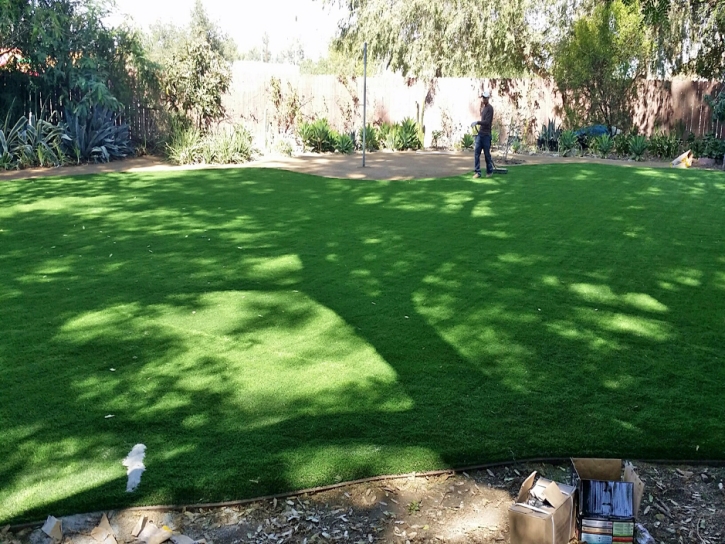 Synthetic Grass Ormond-by-the-Sea, Florida Garden Ideas, Backyard Design