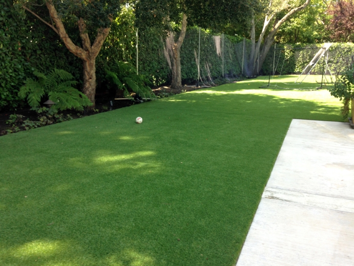 Synthetic Grass Port Charlotte, Florida Indoor Dog Park