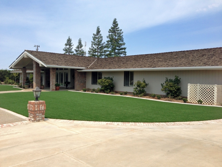 Synthetic Grass Shady Hills, Florida Lawn And Landscape, Front Yard Landscape Ideas